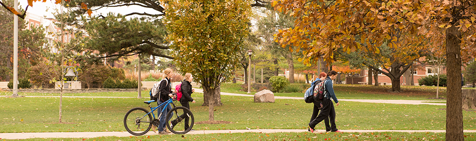 students walking through the quad